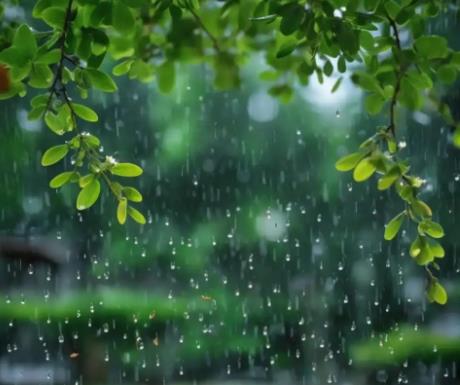 Lesser Heat (Xiaoshu): The Heat Begins to Rise