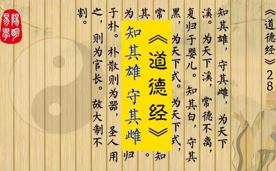How to Read the Tao Te Ching as a Beginner?